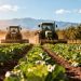G20 Resolution: Food Security, Economic Growth and Development 13 G20 Resolution: Food Security, Economic Growth and Development